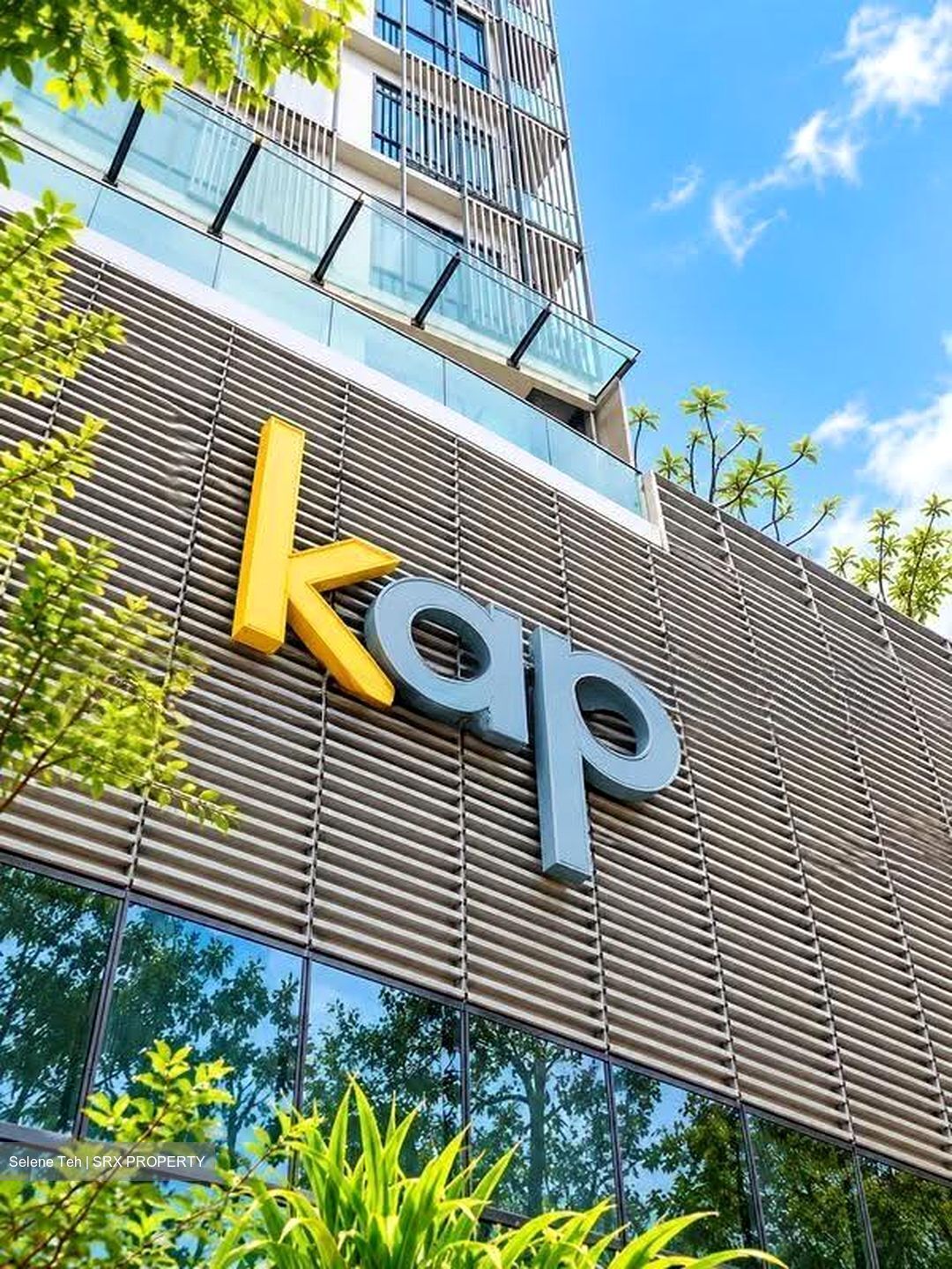 Kap (D21), Retail #622539291